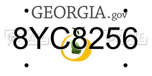 8YC8256 Georgia License Plate