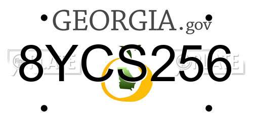 8YCS256 Georgia License Plate