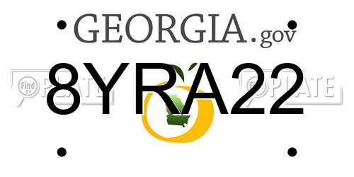 8YRA22 Georgia License Plate