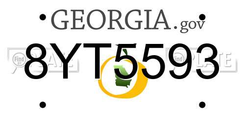 8YT5593 Georgia License Plate