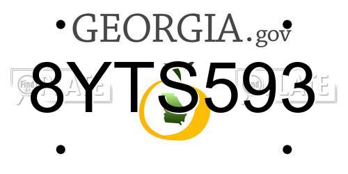 8YTS593 Georgia License Plate