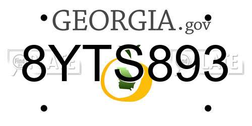 8YTS893 Georgia License Plate