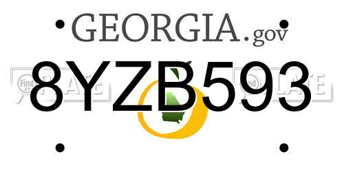 8YZB593 Georgia License Plate