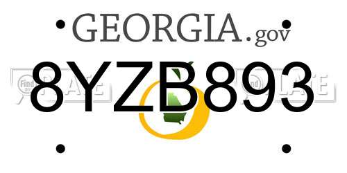8YZB893 Georgia License Plate
