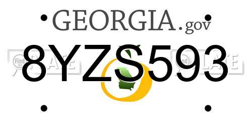 8YZS593 Georgia License Plate