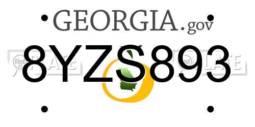 8YZS893 Georgia License Plate