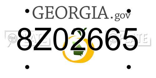 8Z02665 Georgia License Plate