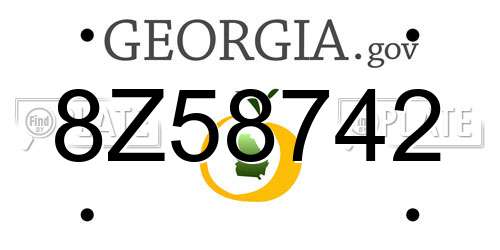 8Z58742 Georgia License Plate