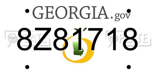 8Z81718 Georgia License Plate