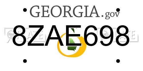 8ZAE698 Georgia License Plate