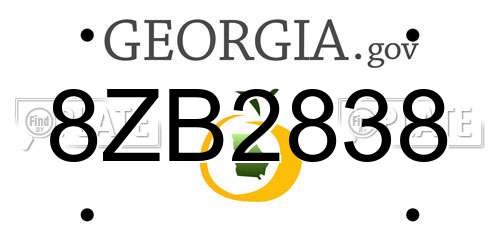 8ZB2838 Georgia License Plate