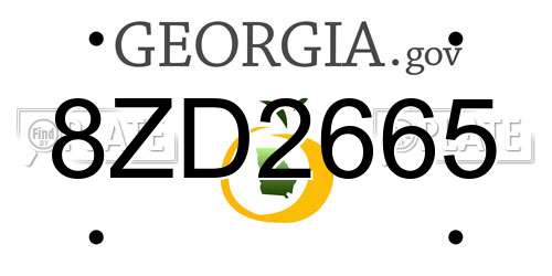 8ZD2665 Georgia License Plate
