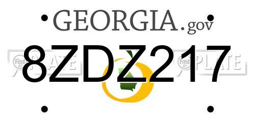 8ZDZ217 Georgia License Plate