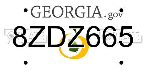 8ZDZ665 Georgia License Plate