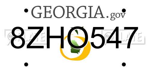 8ZHO547 Georgia License Plate