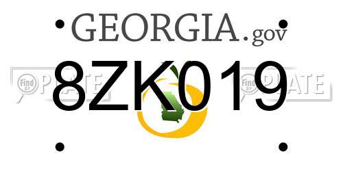8ZK019 Georgia License Plate