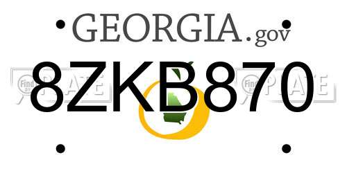 8ZKB870 Georgia License Plate