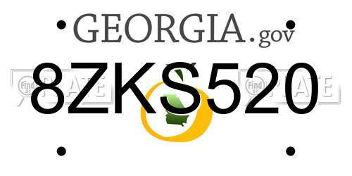8ZKS520 Georgia License Plate