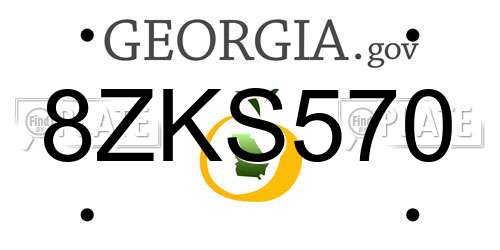 8ZKS570 Georgia License Plate