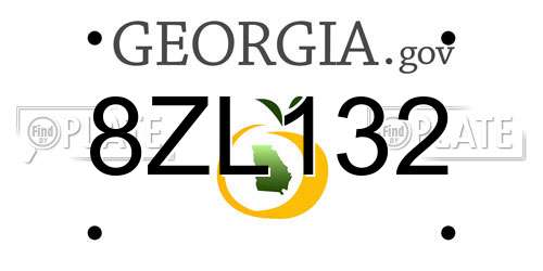 8ZL132 Georgia License Plate