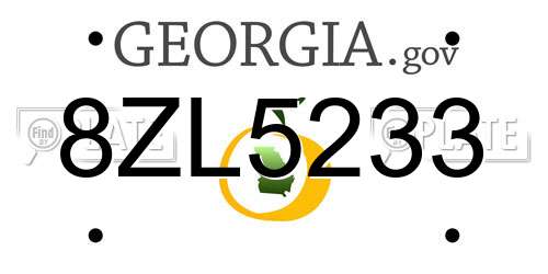 8ZL5233 Georgia License Plate