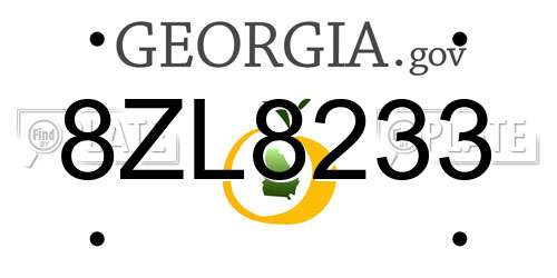 8ZL8233 Georgia License Plate