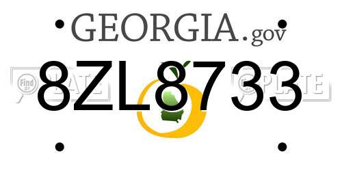 8ZL8733 Georgia License Plate