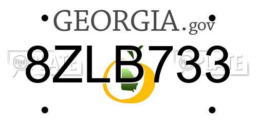 8ZLB733 Georgia License Plate