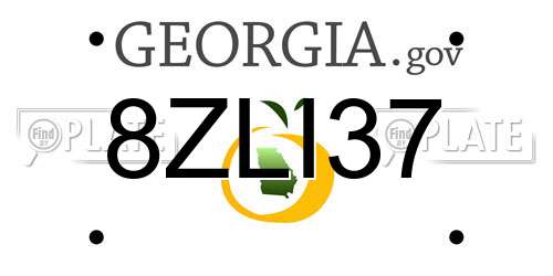8ZLI37 Georgia License Plate