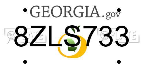 8ZLS733 Georgia License Plate