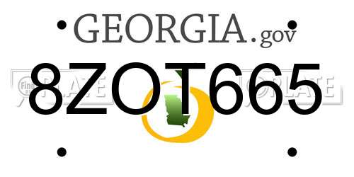 8ZOT665 Georgia License Plate