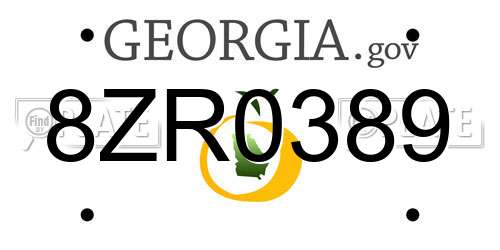 8ZR0389 Georgia License Plate