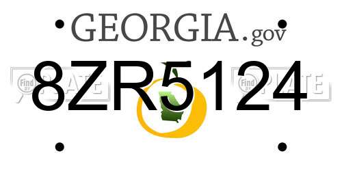 8ZR5124 Georgia License Plate