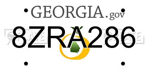 8ZRA286 Georgia License Plate