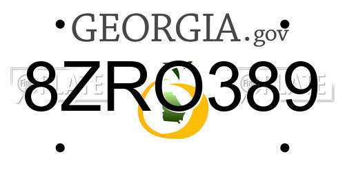 8ZRO389 Georgia License Plate