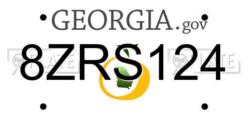 8ZRS124 Georgia License Plate