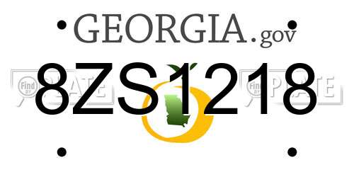 8ZS1218 Georgia License Plate