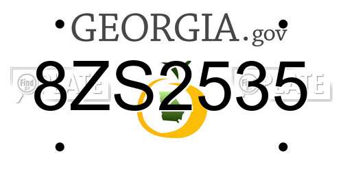 8ZS2535 Georgia License Plate