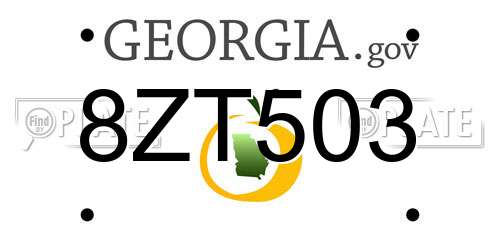 8ZT503 Georgia License Plate