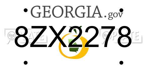 8ZX2278 Georgia License Plate