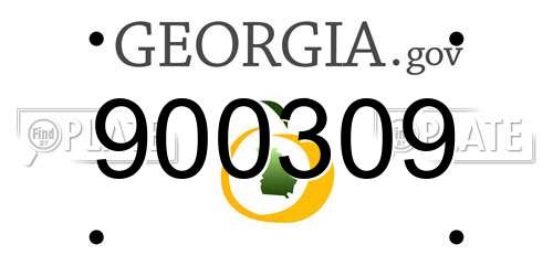 900309 Georgia License Plate