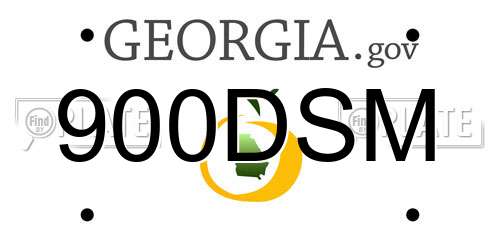 900DSM Georgia License Plate