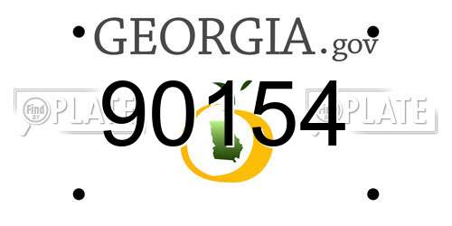 90154 Georgia License Plate