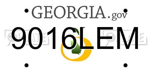 9016LEM Georgia License Plate