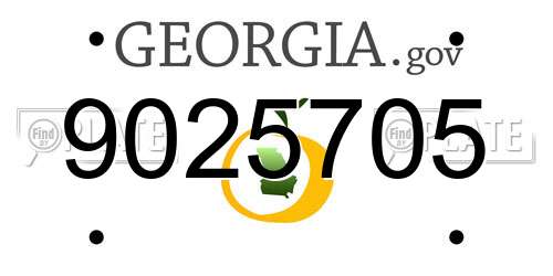 9025705 Georgia License Plate