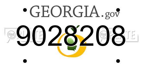 9028208 Georgia License Plate