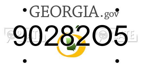 90282O5 Georgia License Plate
