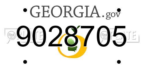 9028705 Georgia License Plate