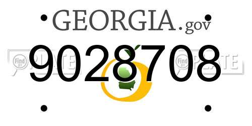 9028708 Georgia License Plate