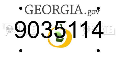 9035114 Georgia License Plate